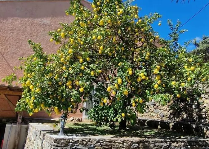 Terra Et Mare Villa *